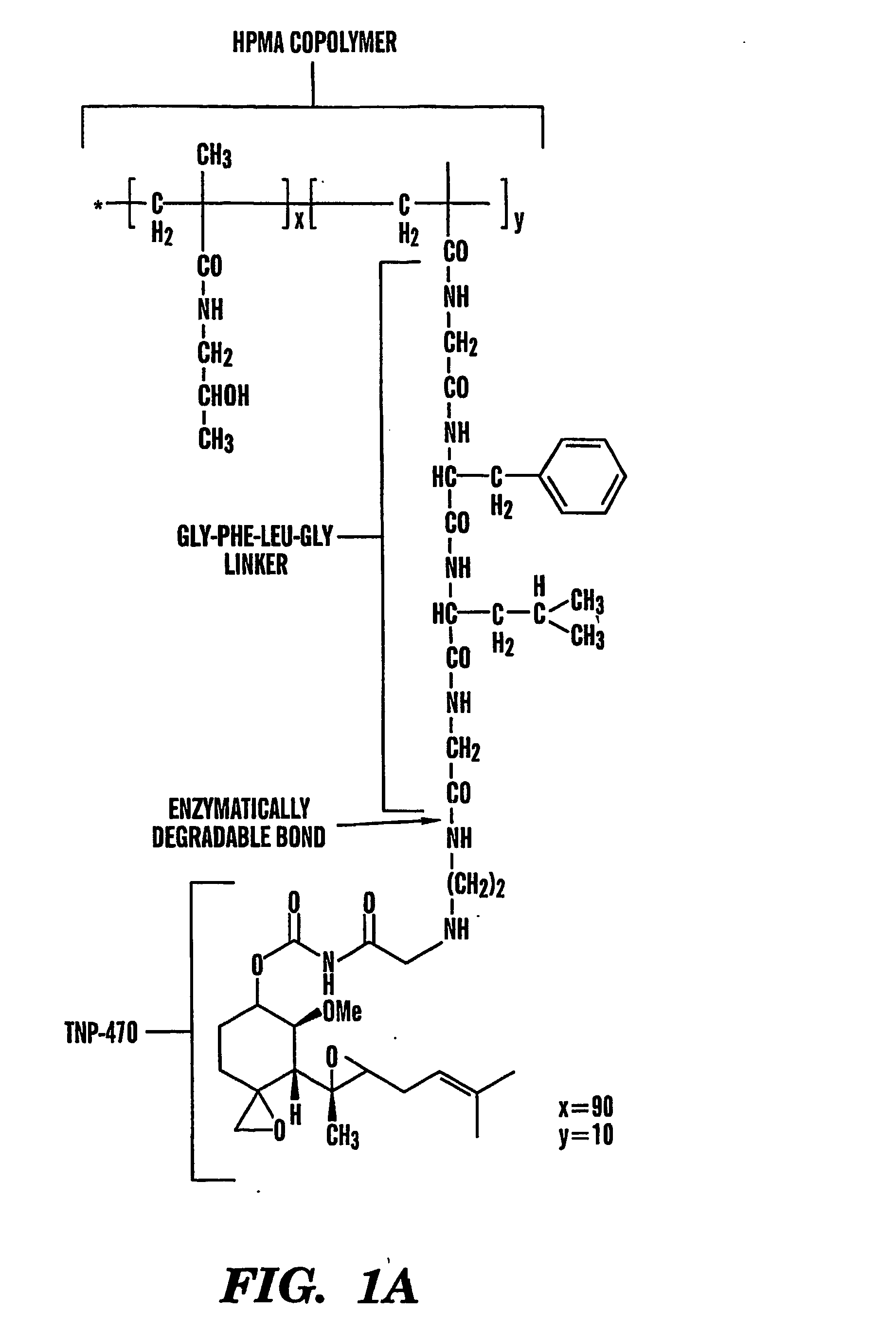 Tnp-470 polymer conjugates and use thereof