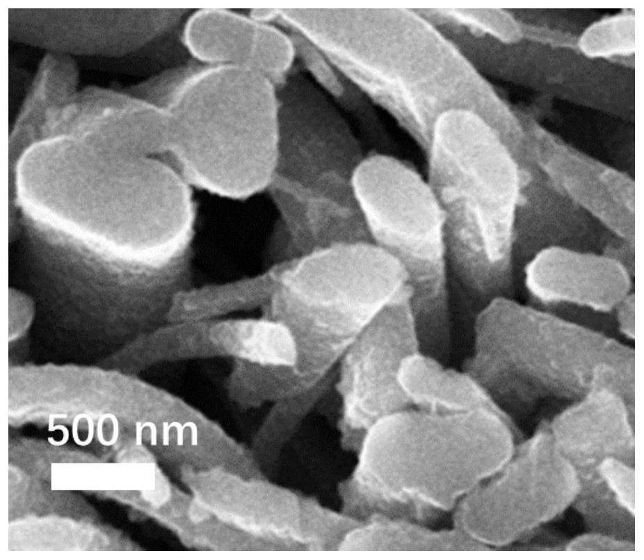 Tubular nanofiber material, negative pole piece and lithium metal battery