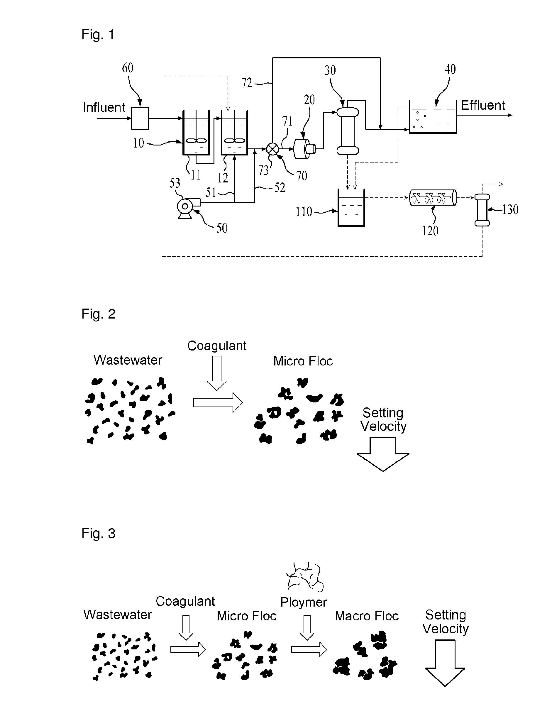 Apparatus for purifying wastewater and method thereof