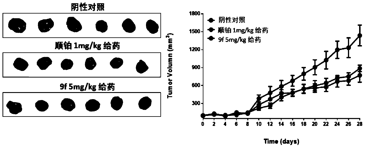 Novel quinazolinone compound as well as preparation method and application thereof