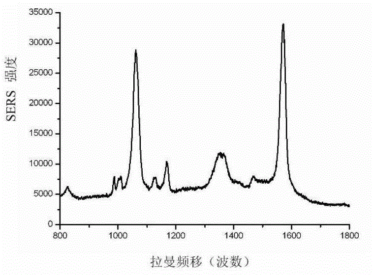 Dual-controllable medicine release structure with SERS (Surface Enhanced Raman Scattering) signal and preparation method of dual-controllable medicine release structure