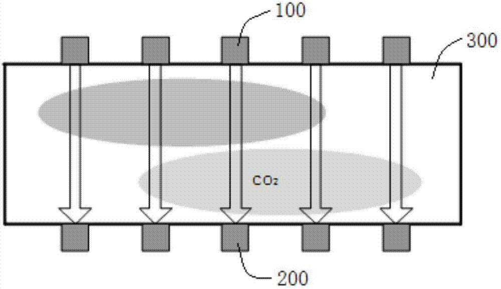 Detection method of carbon dioxide oil displacement displacing front