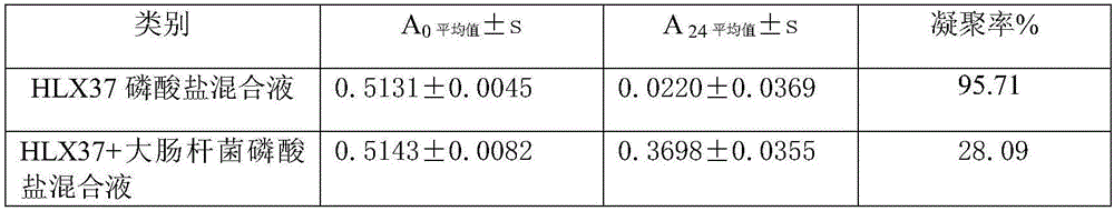 Active medicinal and edible food extract freeze-dried powder and preparation method thereof
