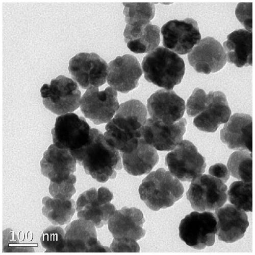 A kind of hydrophilic sulindac molecularly imprinted magnetic nano resin ball and its preparation method and application