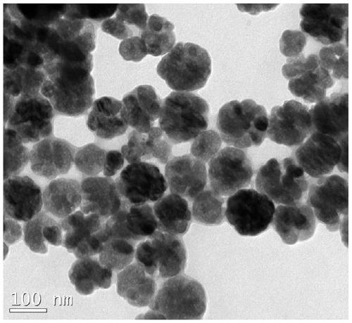 A kind of hydrophilic sulindac molecularly imprinted magnetic nano resin ball and its preparation method and application