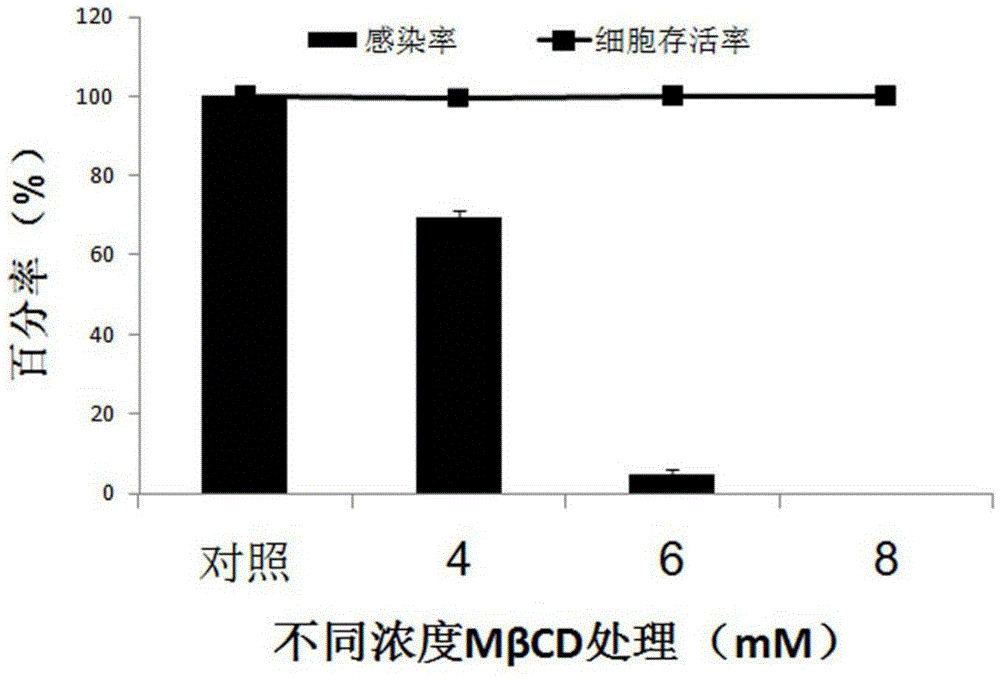 Application of methyl-β-cyclodextrin in preparation of medicine for preventing and treating silkworm cells infected by bmnpv