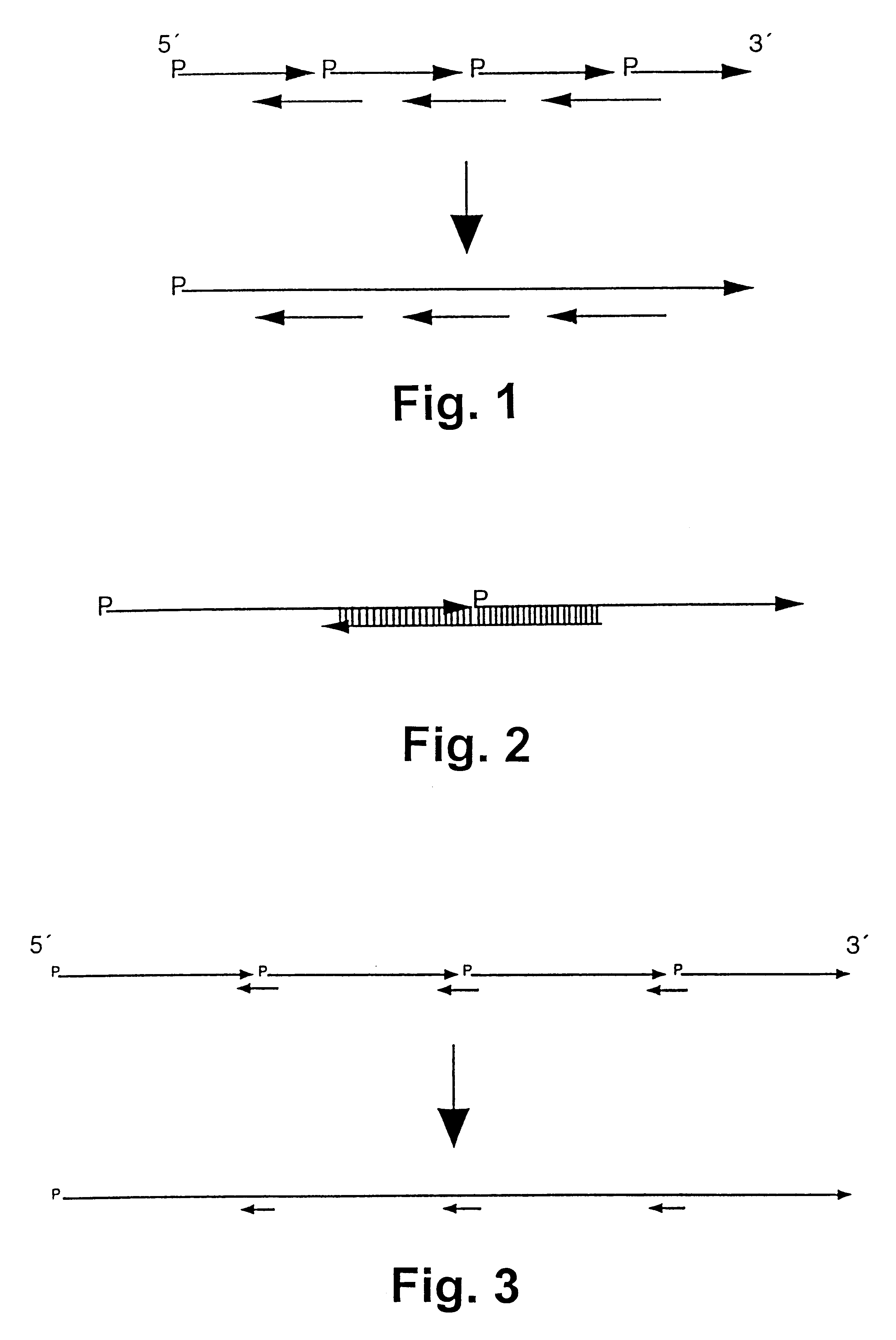 Method for producing nucleic acid polymers