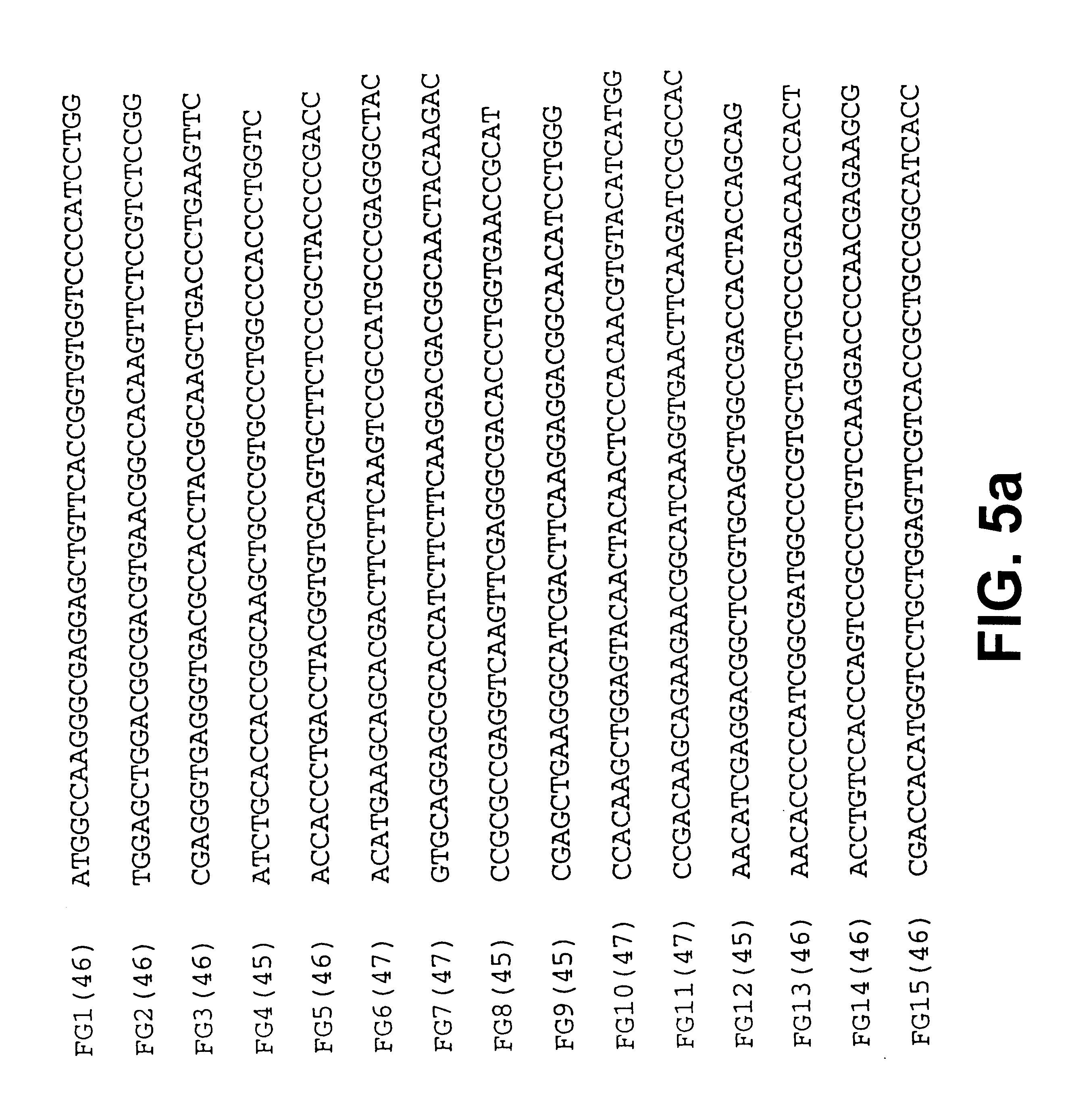 Method for producing nucleic acid polymers