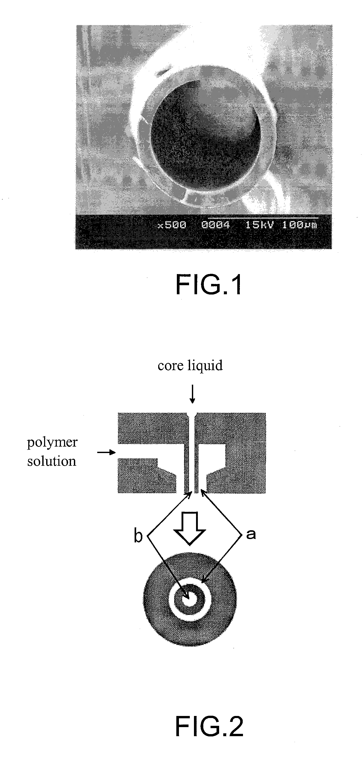 Hollow fiber carbon membrane and method for production thereof