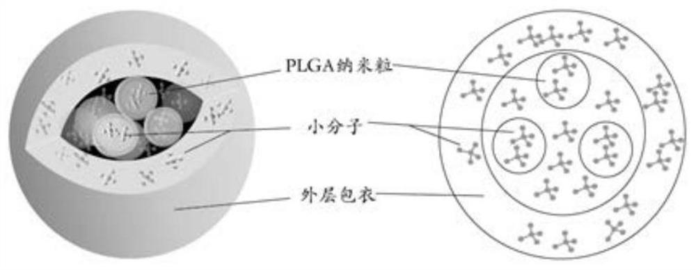 Oral berberine microcapsule nanoparticle chimeric preparation and dosage regimen