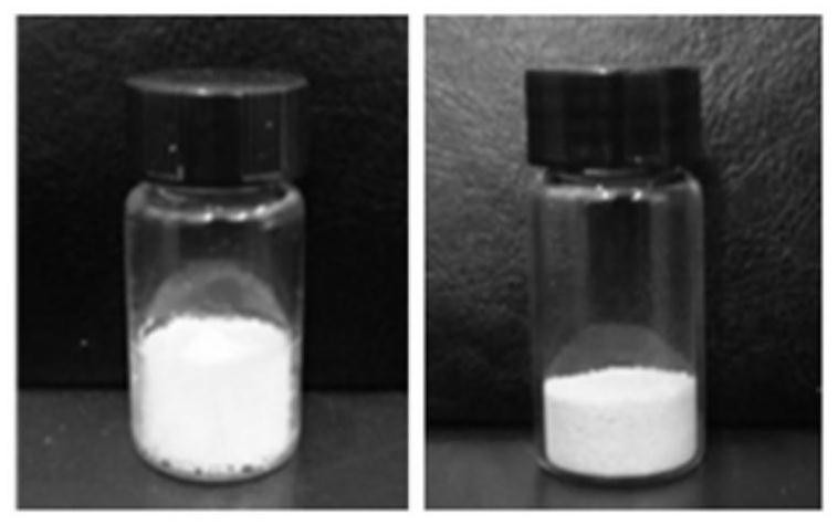 Oral berberine microcapsule nanoparticle chimeric preparation and dosage regimen