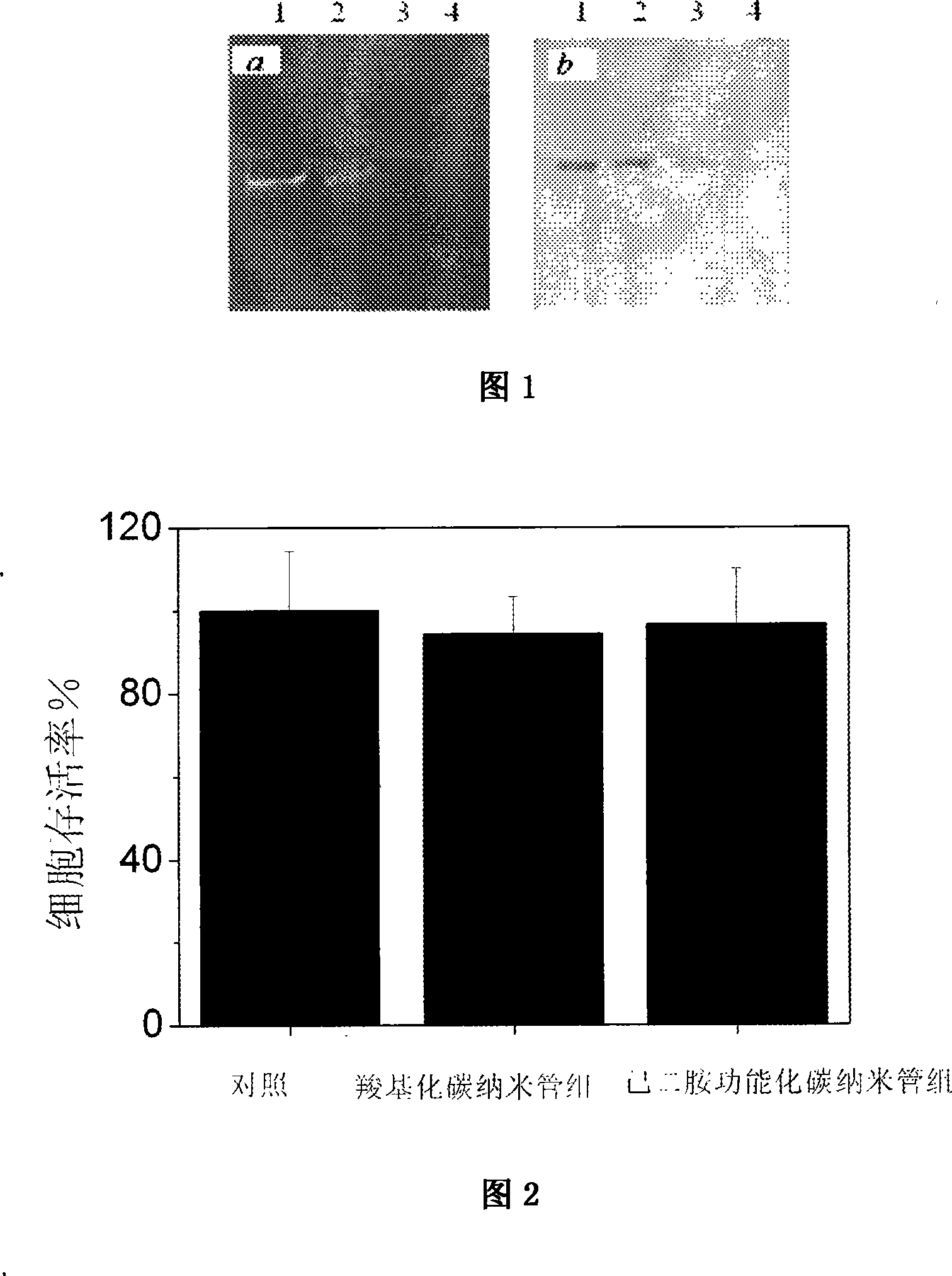 Carbon nano-tube as siRNA carrier and transfection method thereof