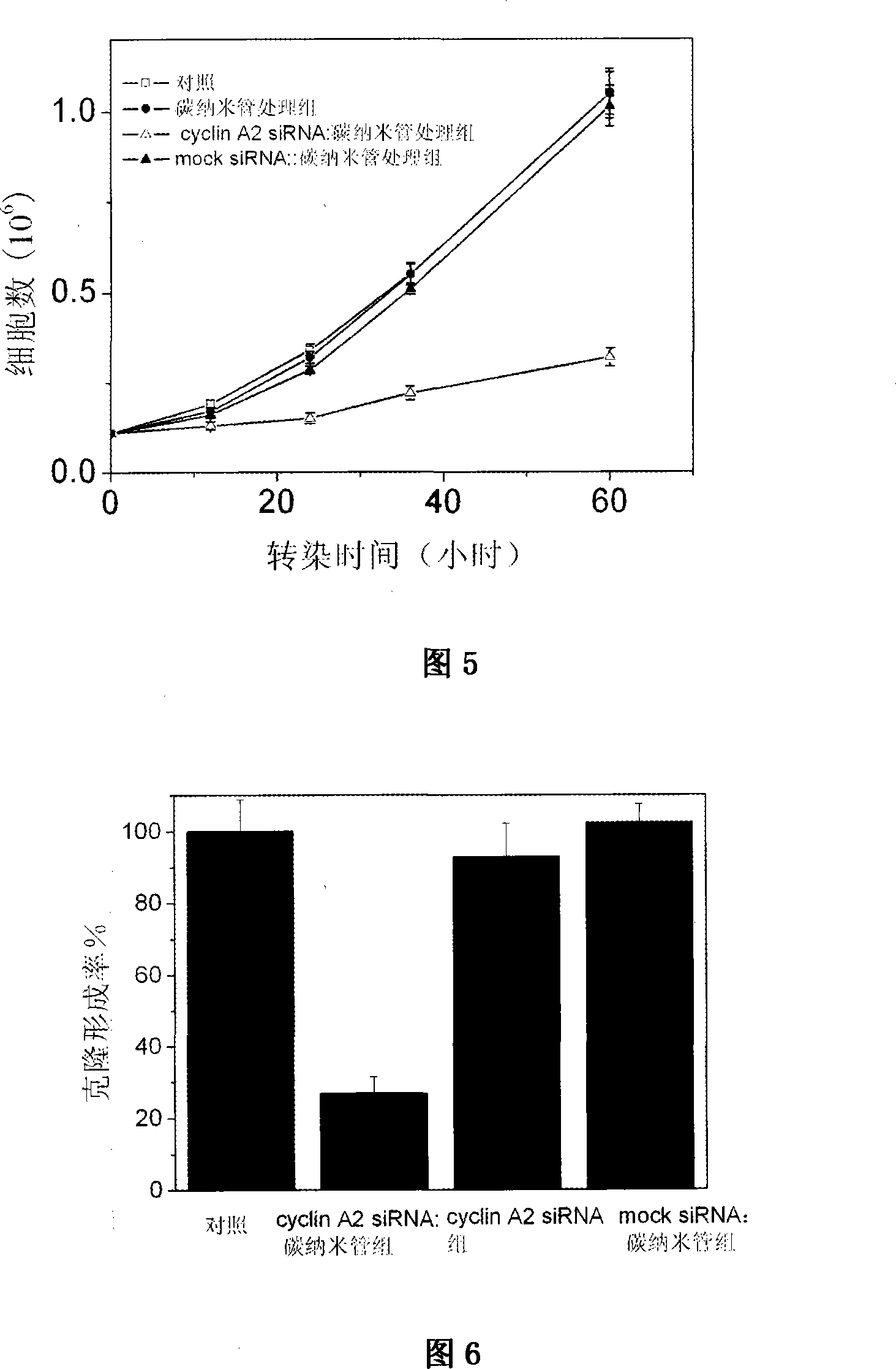 Carbon nano-tube as siRNA carrier and transfection method thereof