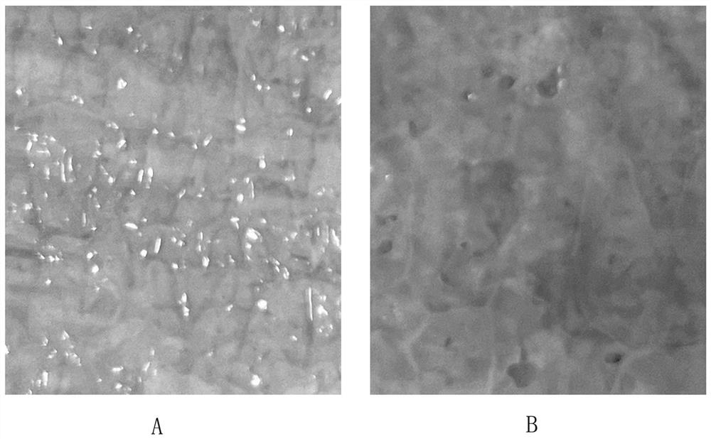 High-toughness dictyophora indusiata stipe as well as preparation method and application thereof in preparation of dictyophora indusiata shrimp paste