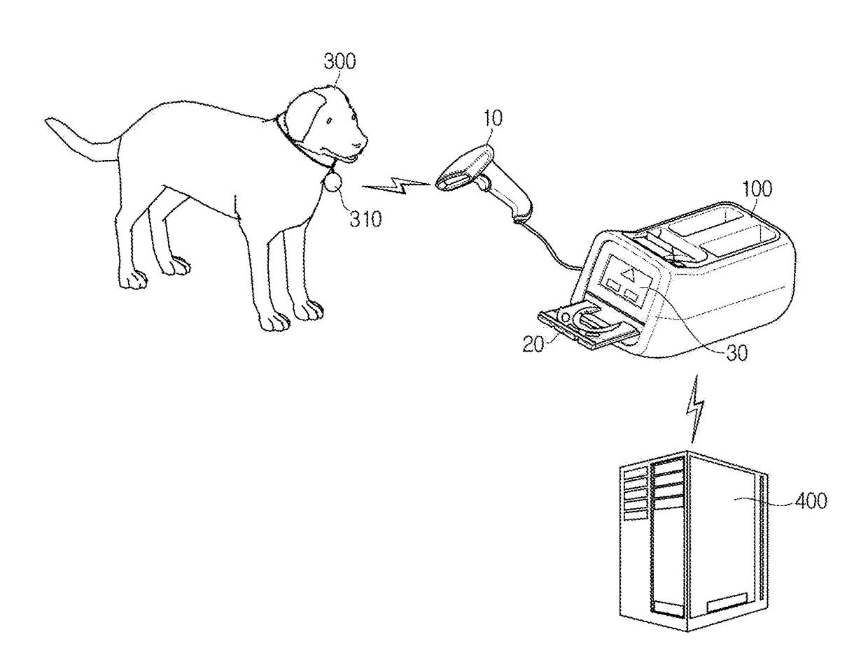 Pet blood tester, pet blood test system, and pet blood testing method thereof