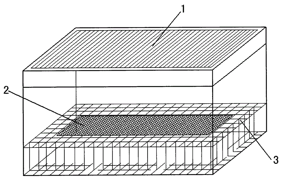 Breeding box and method for high-efficiency production of dastarcus helophoroides