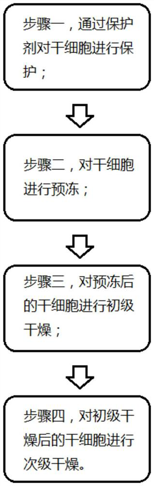 Cell or stem cell cryopreservation preparation method