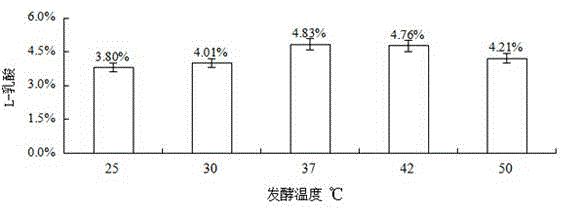 Probiotic corn leavening agent capable of increasing content of L-lactic acid and application of probiotic corn leavening agent