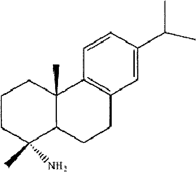 Preparation method for safely synthesizing dehydroabietic acid degraded amine