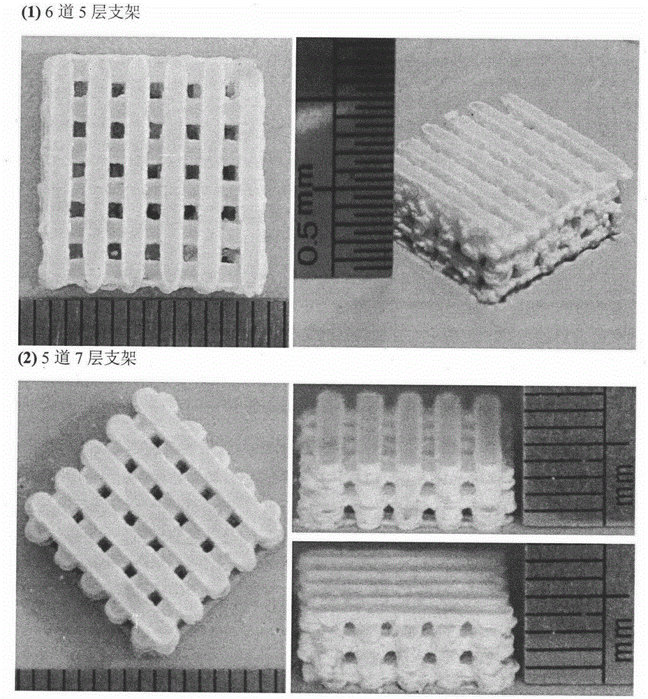 A method for constructing micro-nano pores on the surface of composite ceramic bone scaffold