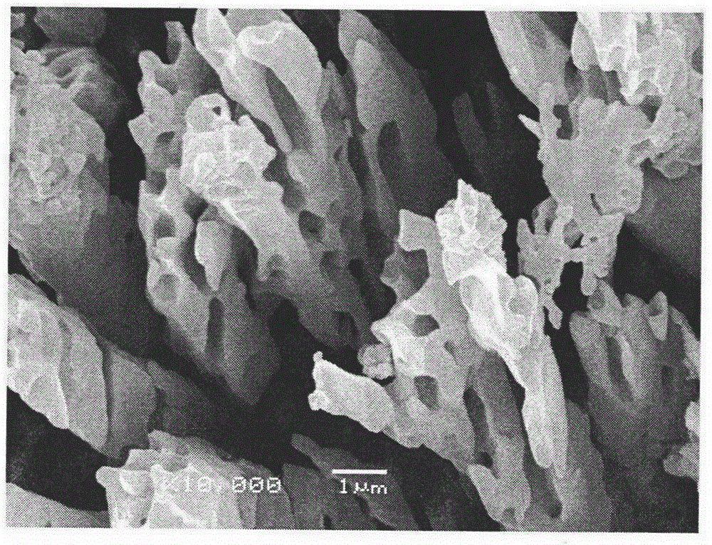 A method for constructing micro-nano pores on the surface of composite ceramic bone scaffold