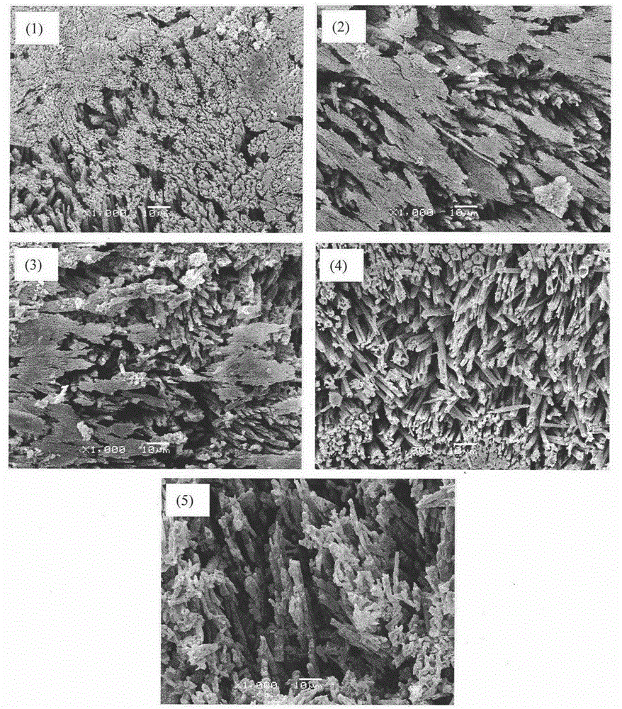 A method for constructing micro-nano pores on the surface of composite ceramic bone scaffold