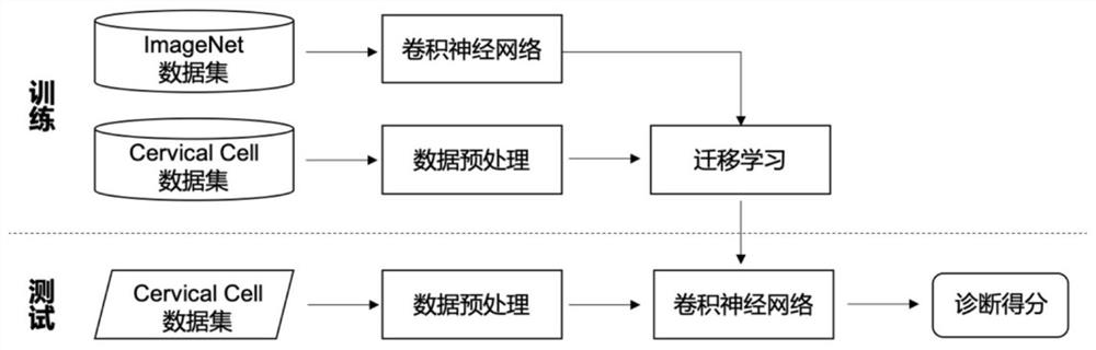 Cervical cell image screening method and system, computer equipment and storage medium