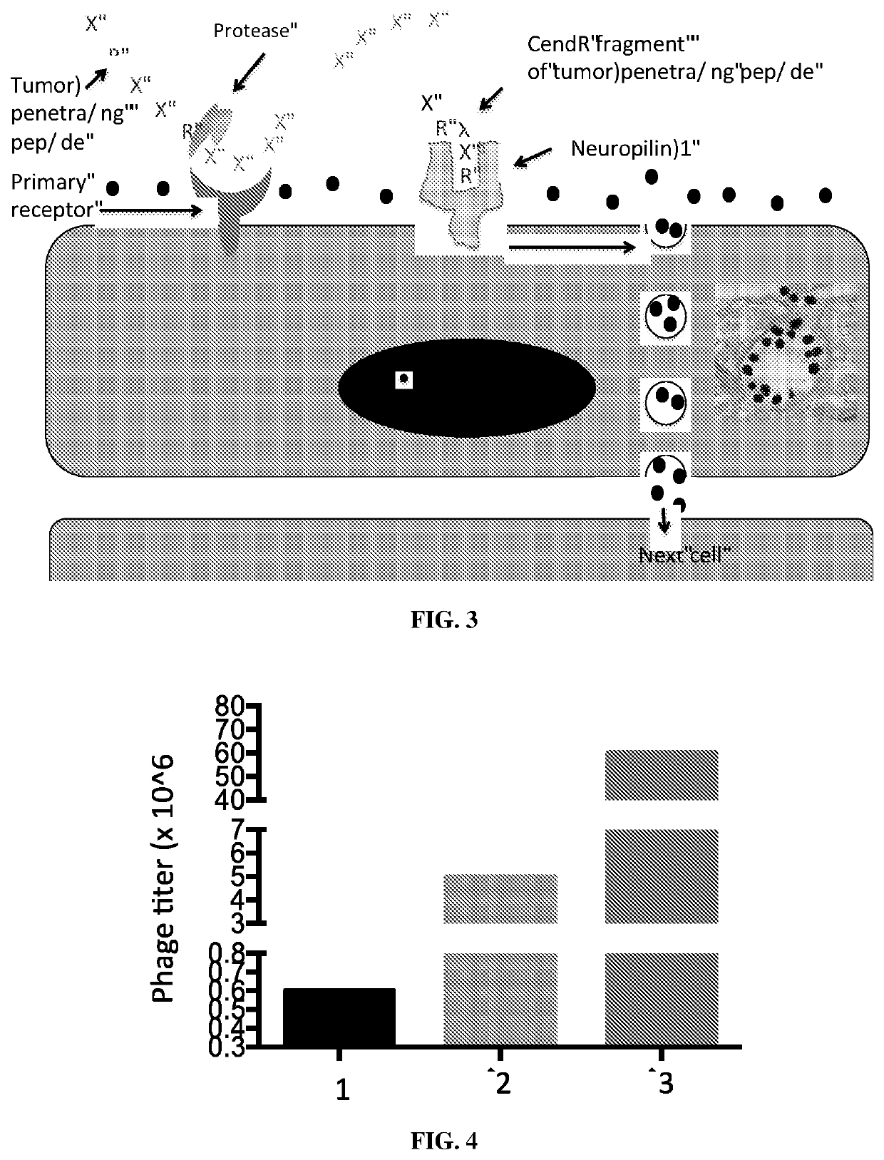 Tumor associated monocyte/macrophage binding peptide and methods of use thereof