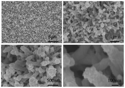A tungsten trioxide/vanadium pentoxide core-shell nanowire array electrochromic material and its preparation method