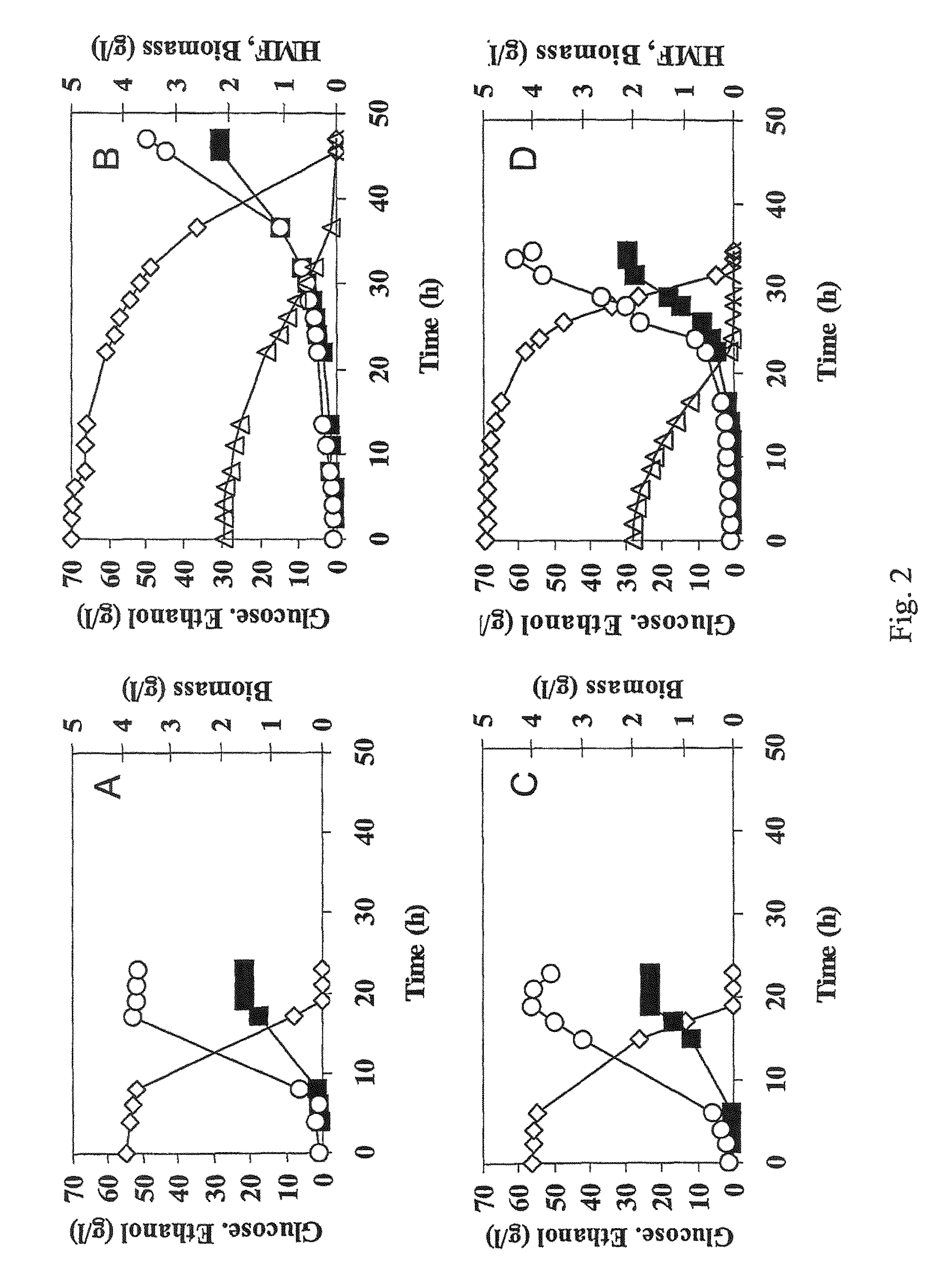 Polypeptide having NADH dependent HMF reductase activity