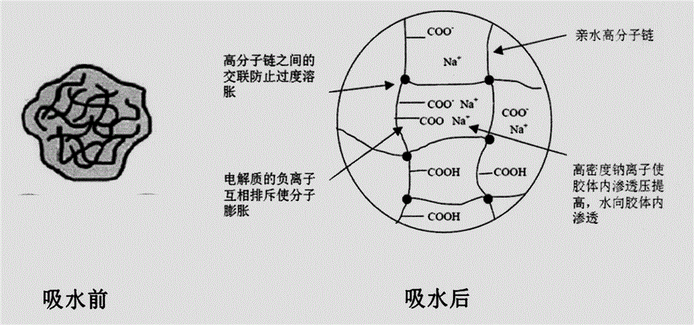 Method for synthesizing high-molecular water-absorbent resin from cottonseed byproduct