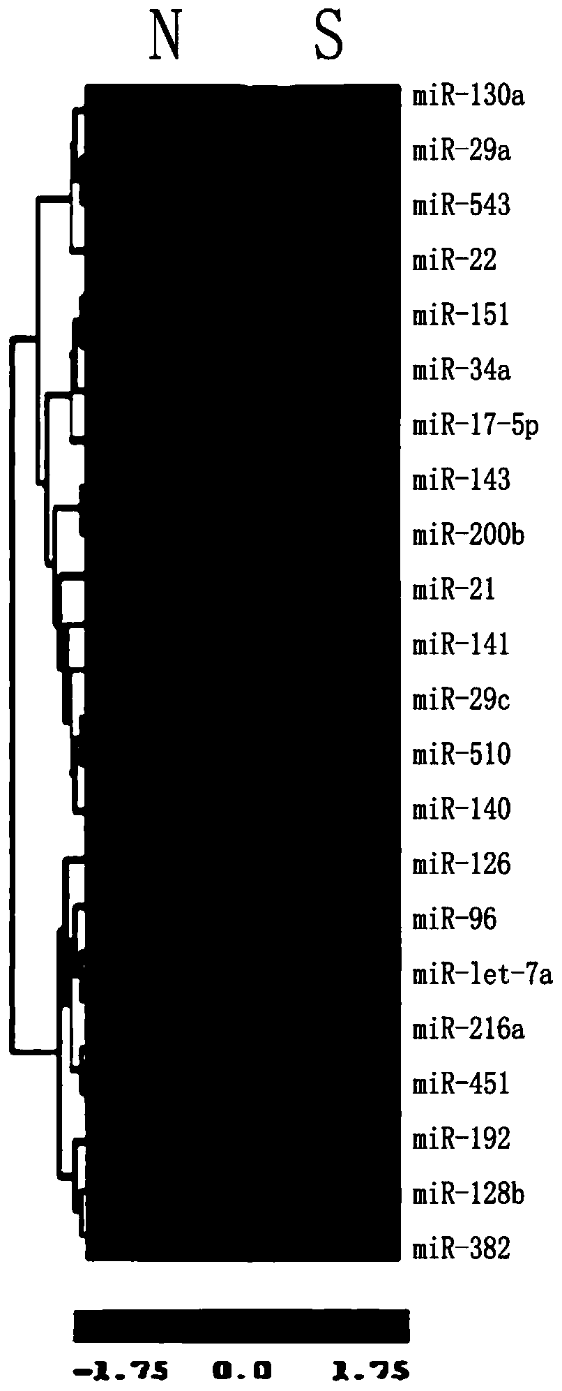 Method, chip and application for detecting lung cancer cell sensitivity to x-ray radiation