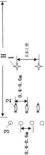 Sand control method of mixed three-dimensional cultivation of grapes