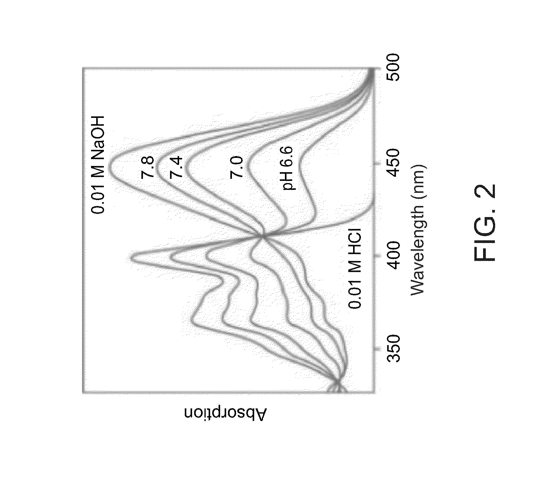 Methods of monitoring and analyzing metabolic activity profiles diagnostic and therapeutic uses of same