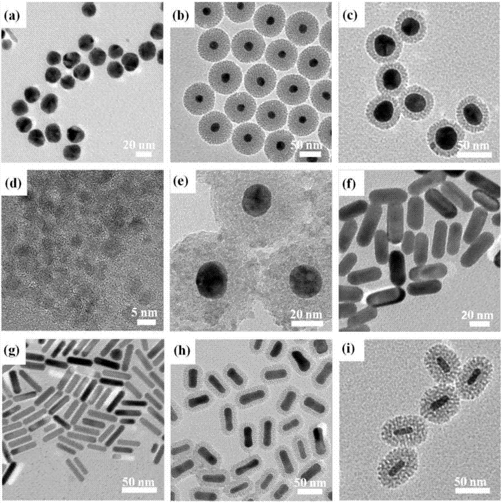PH-responsive anti-tumor drug carrier material and preparation and application of pH-responsive anti-tumor drug carrier material