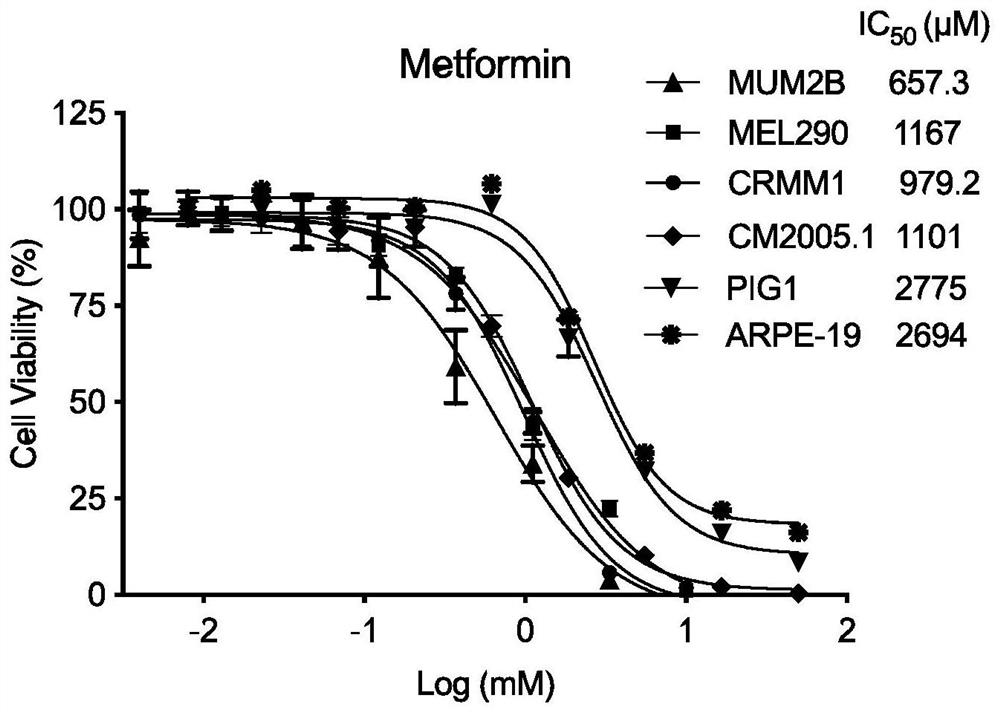Application of metformin in preparation of medicine for treating eye melanoma