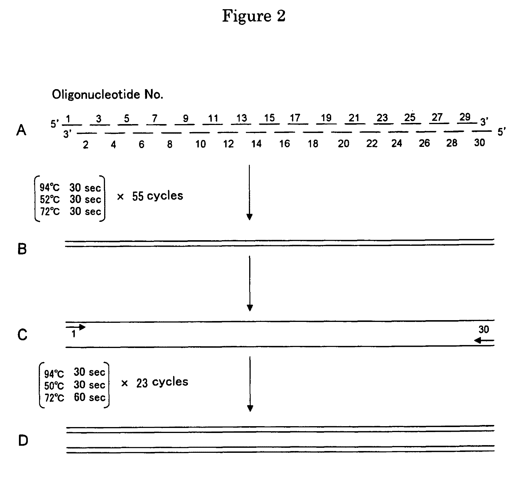 Substitutional variants of hydroxynitrile lyase with high specific activity and methods of use