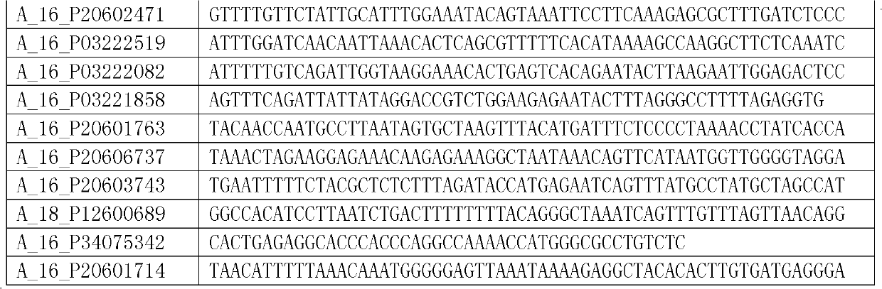 Gene chip for detecting Smith-Magenis syndrome