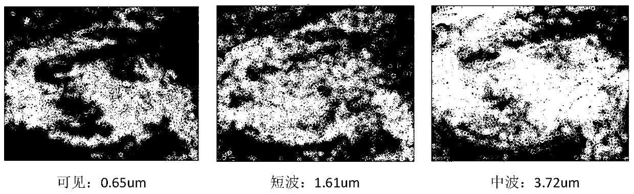 A neural network-based image registration method between static orbit spectrum segments