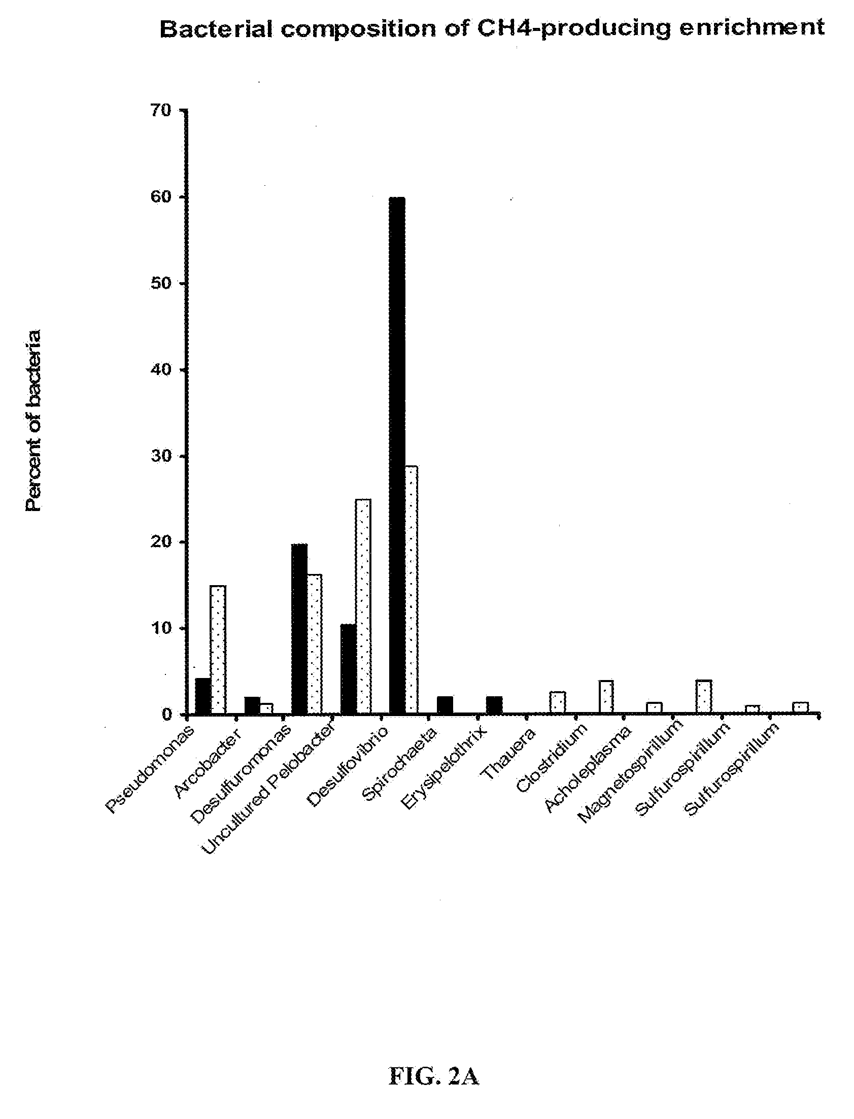 Methods to stimulate biogenic methane production from hydrocarbon-bearing formations