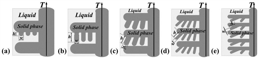 Method for growing atypical tertiary dendrites in directionally solidified peritectic alloy