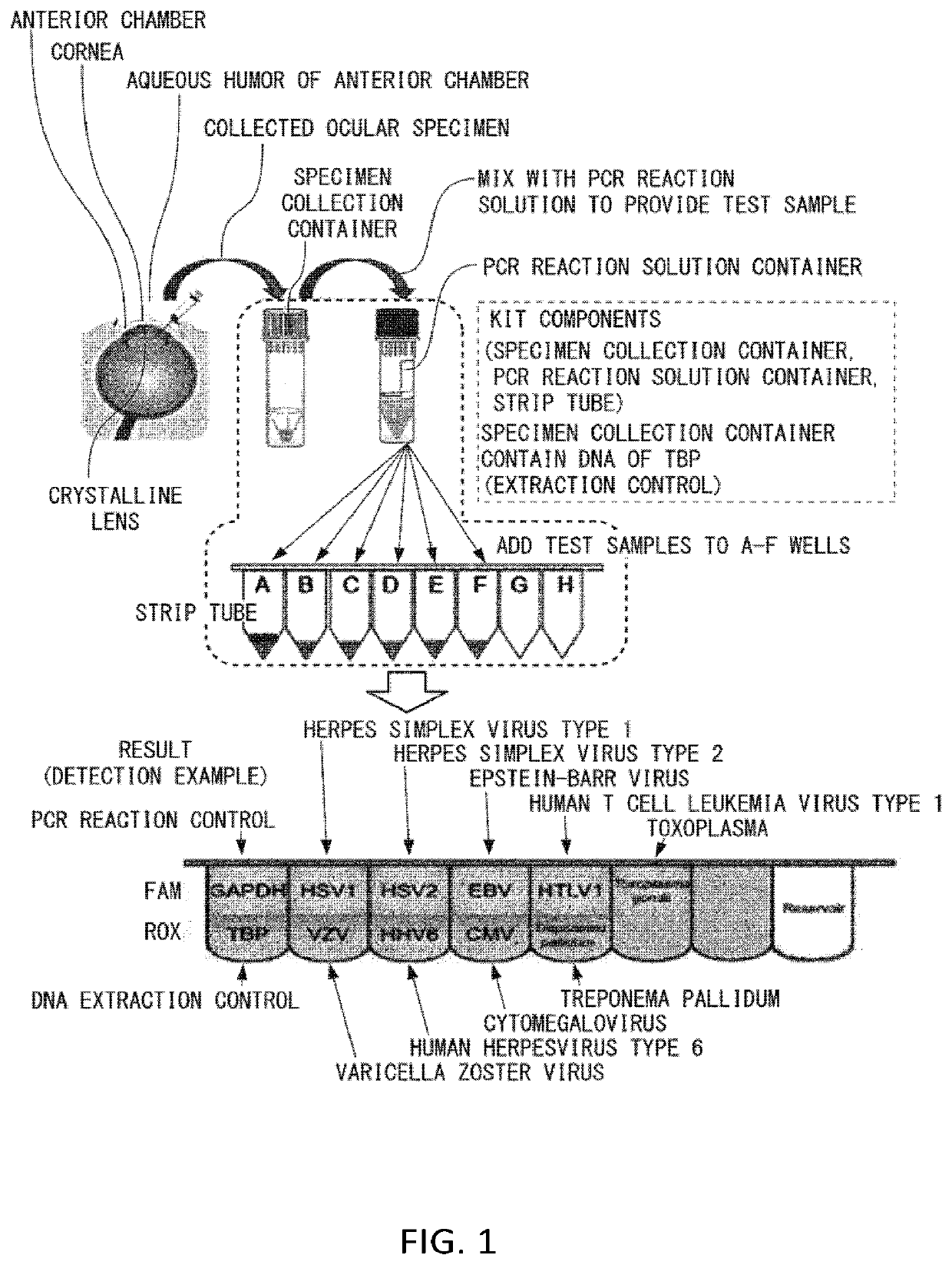 Method and device for testing target nucleic acid