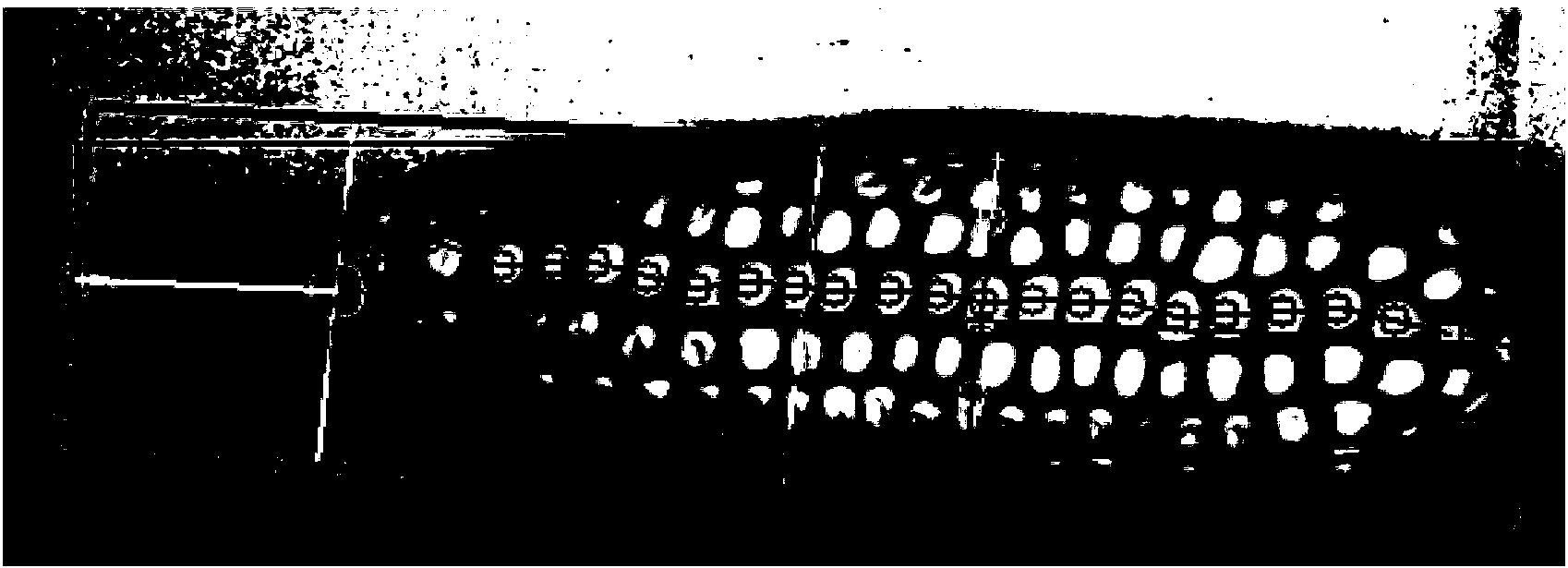 Computer vision technique-based corn ear species test method, system and device