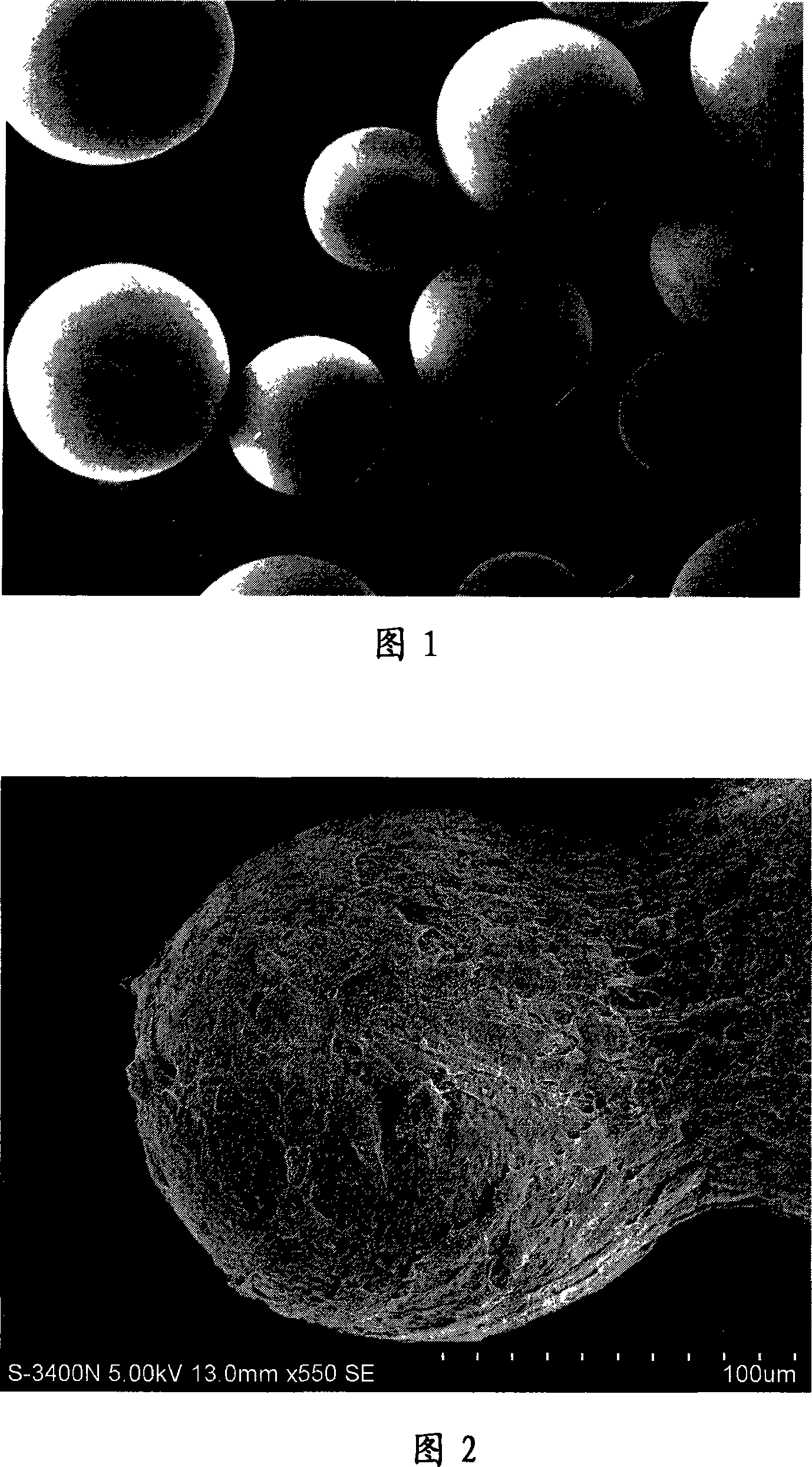 Tissue engineered fine particle tissue and method for preparing the same