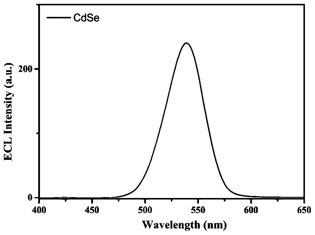 Broad-spectrum low-potential electrochemical luminescence system and construction method thereof