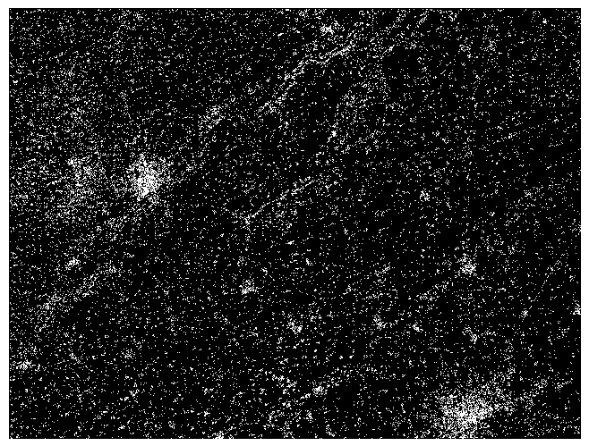 Large-scale liftoff distance satellite-borne SAR image mosaicking method