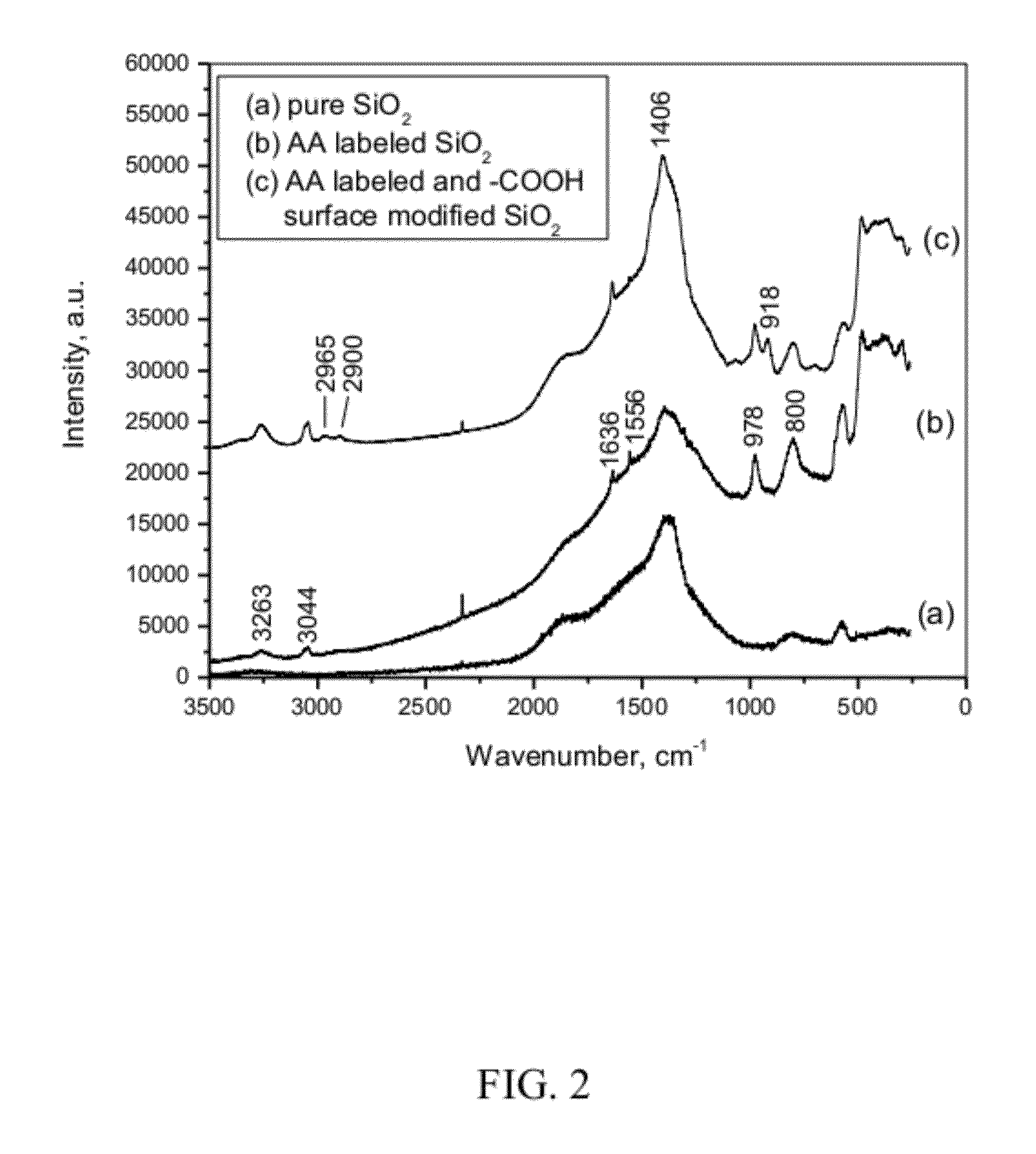 Volume-labeled nanoparticles and methods of preparation