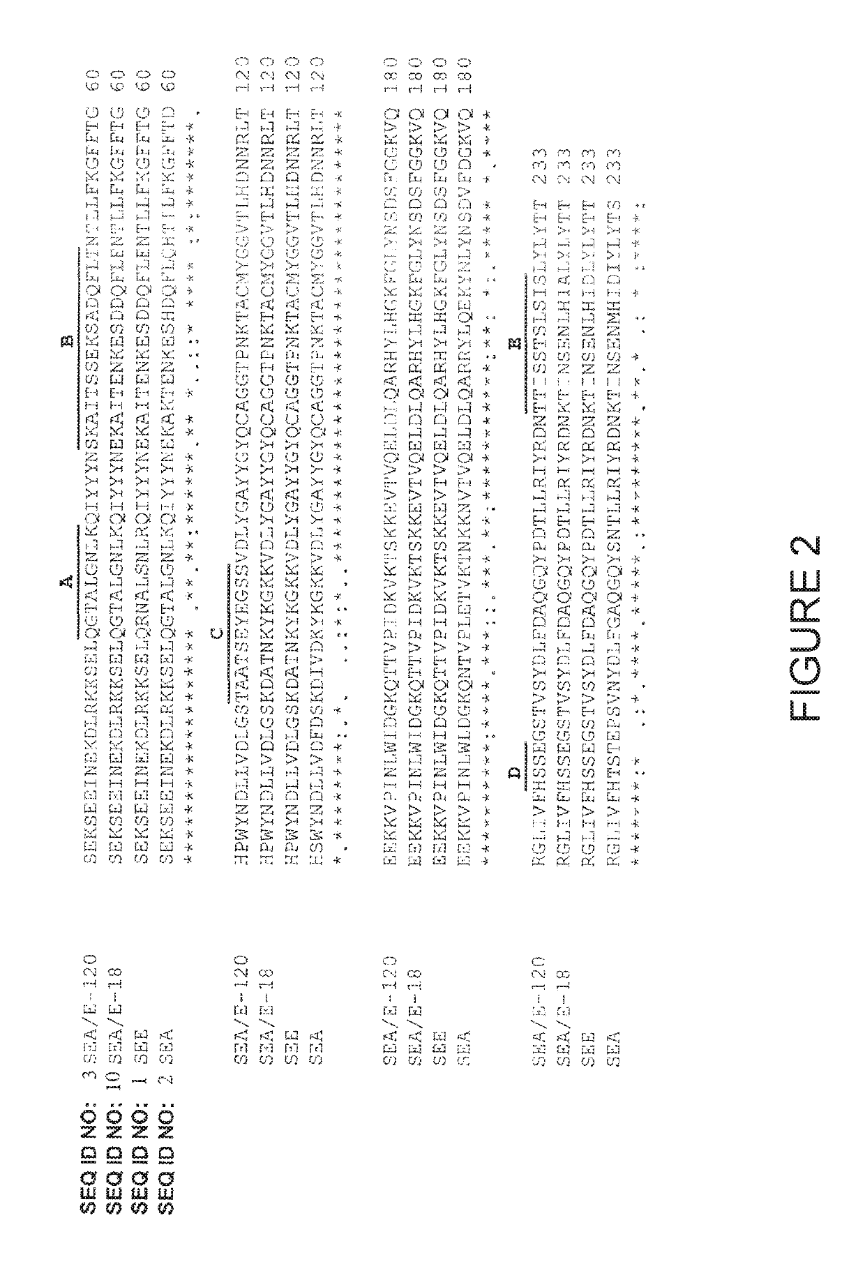 Methods and compositions for enhancing the potency of superantigen mediated cancer immunotherapy