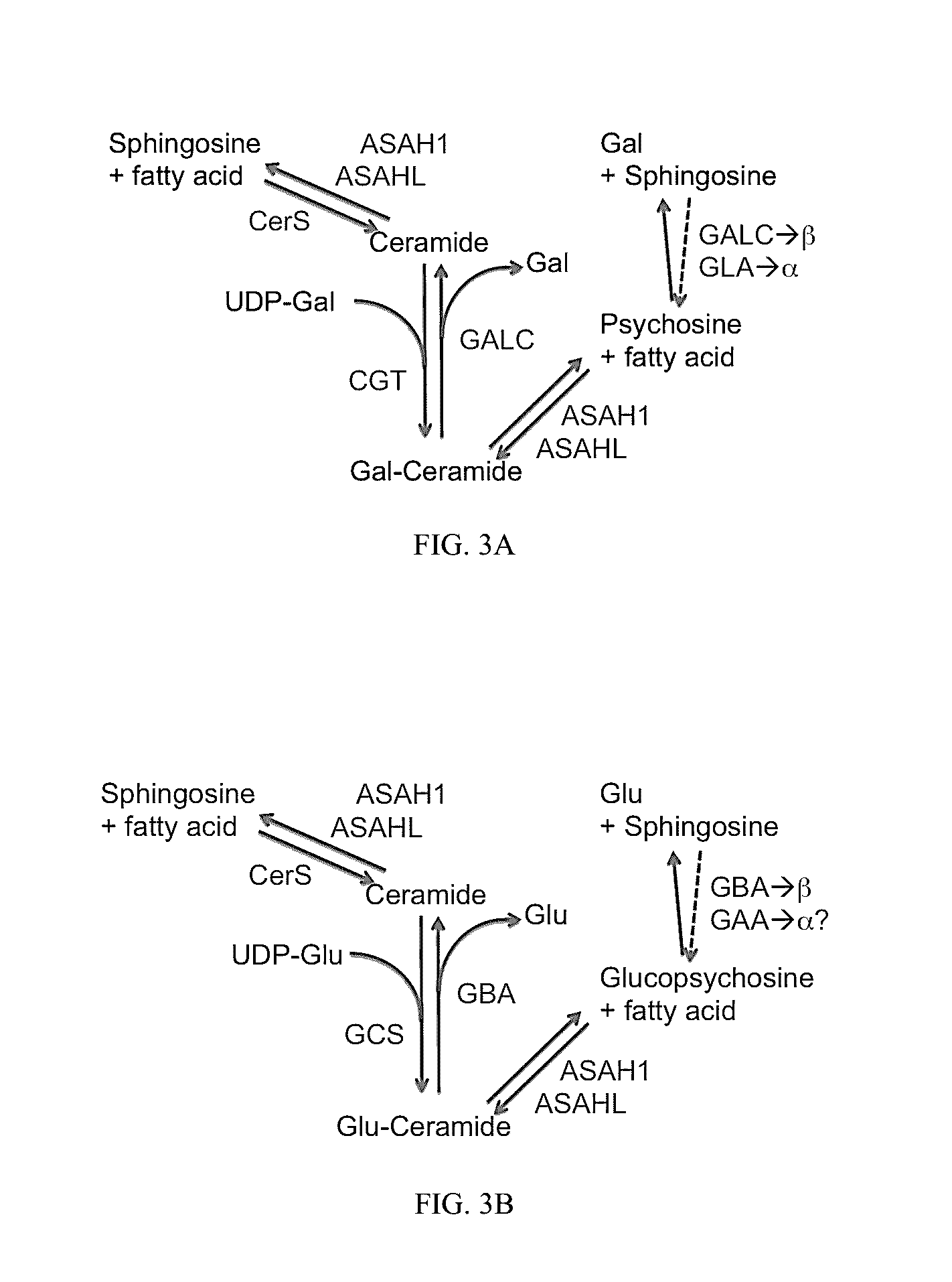 Nkt cell ligands and methods of use