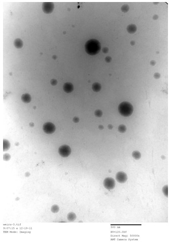 Oral W/O microemulsion preparation of cyclo-trans-4-hydroxyprolyl-L-serine and preparation method of same